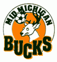 mid michigan bucks 1996-2003 primary Logo t shirt iron on transfers